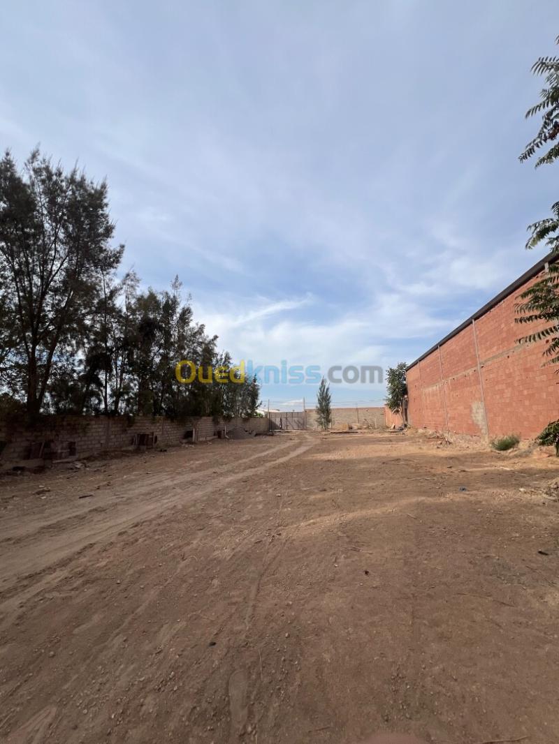 Location Terrain Sidi Bel Abbès Sidi bel abbes