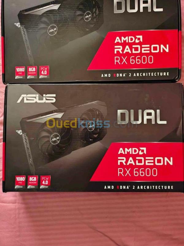  Rx6600 Asus Dual 8GB