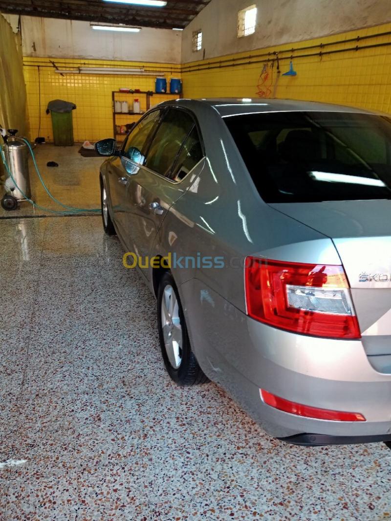 Skoda Octavia 2016 Ambiente 14
