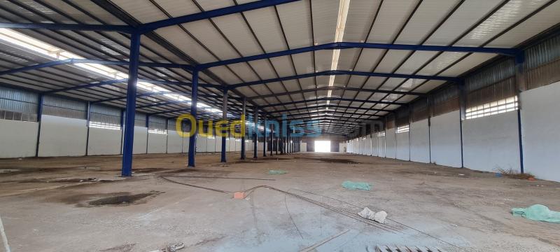  Location Hangar Oran Sidi chami