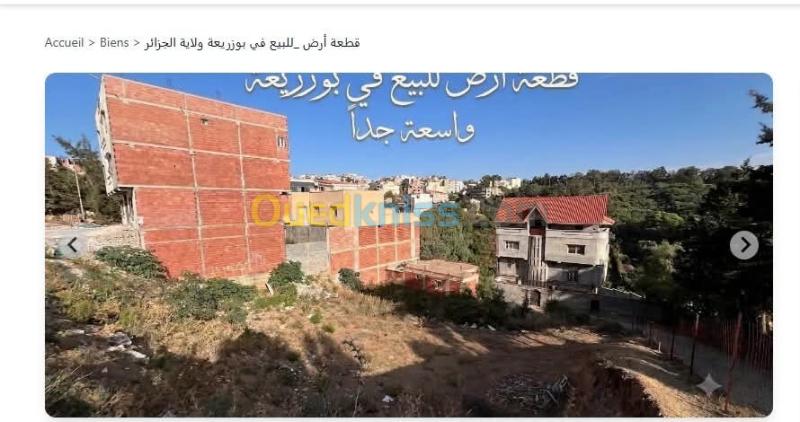 Vente Terrain Alger Bouzareah