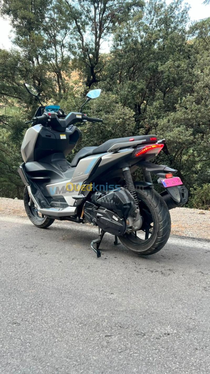 New vmax + Vmax+ 2026 12