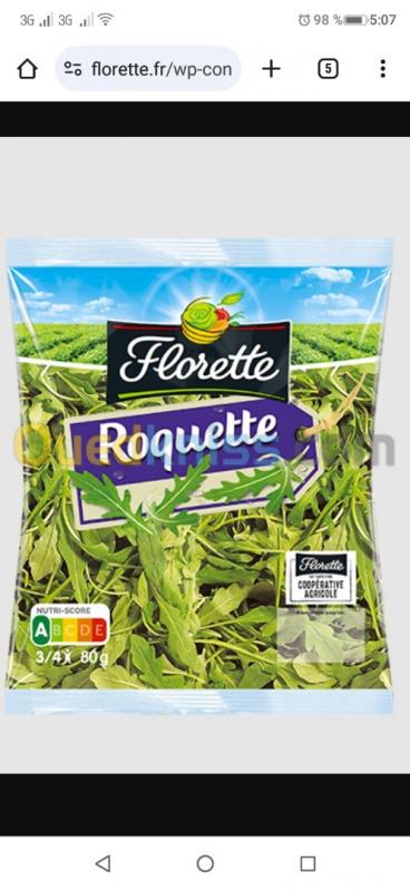  Roquettes