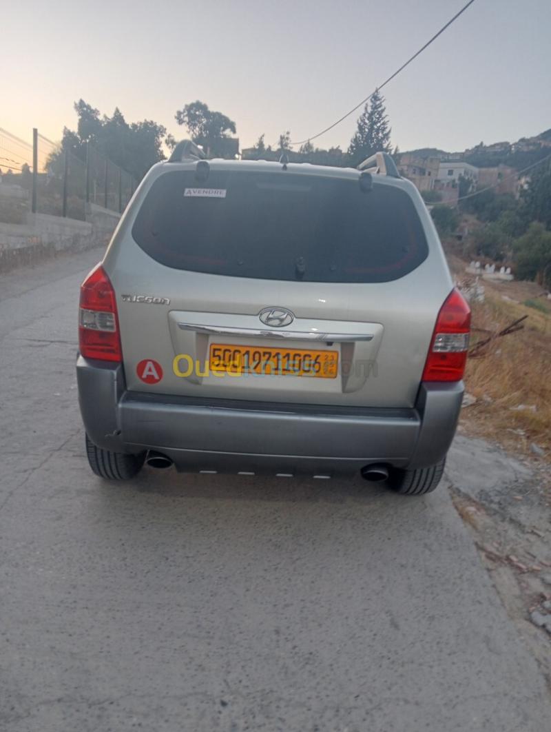 Hyundai Tucson 2010  8