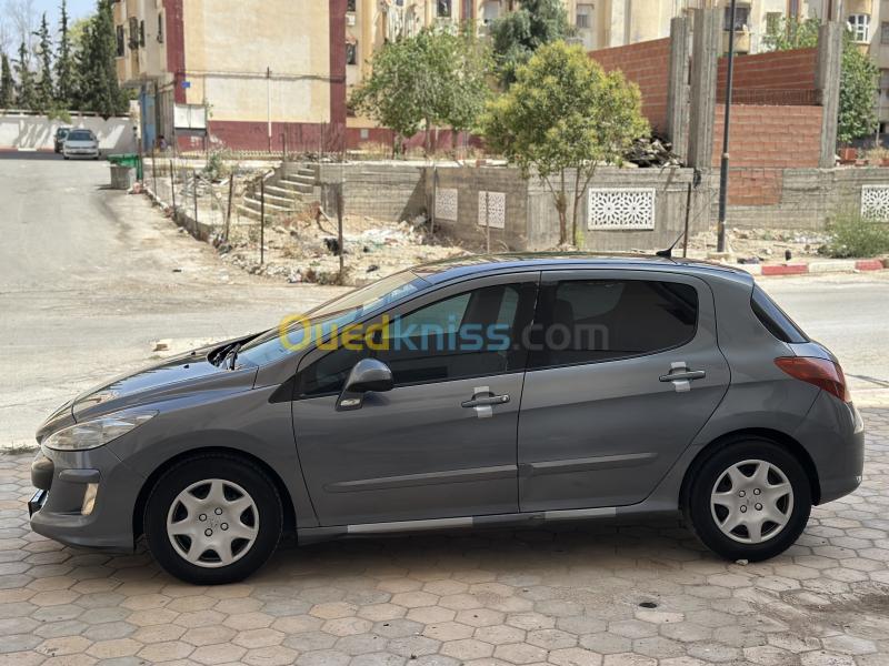 Peugeot 308 2010 Active 3