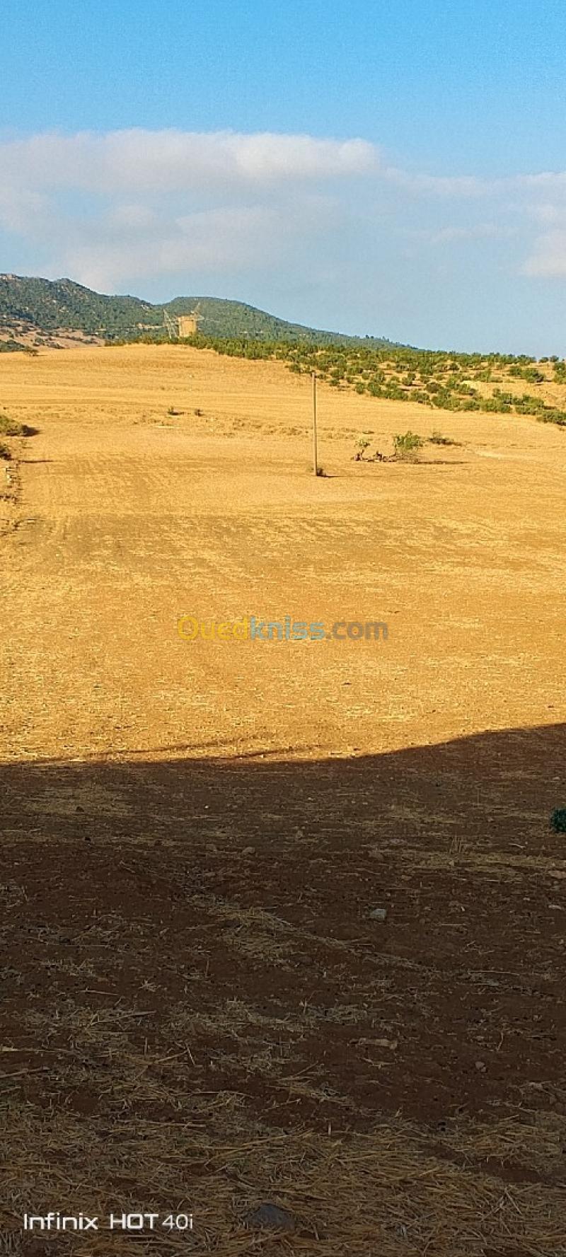 Vente Terrain Aïn Defla Ain soltane 2
