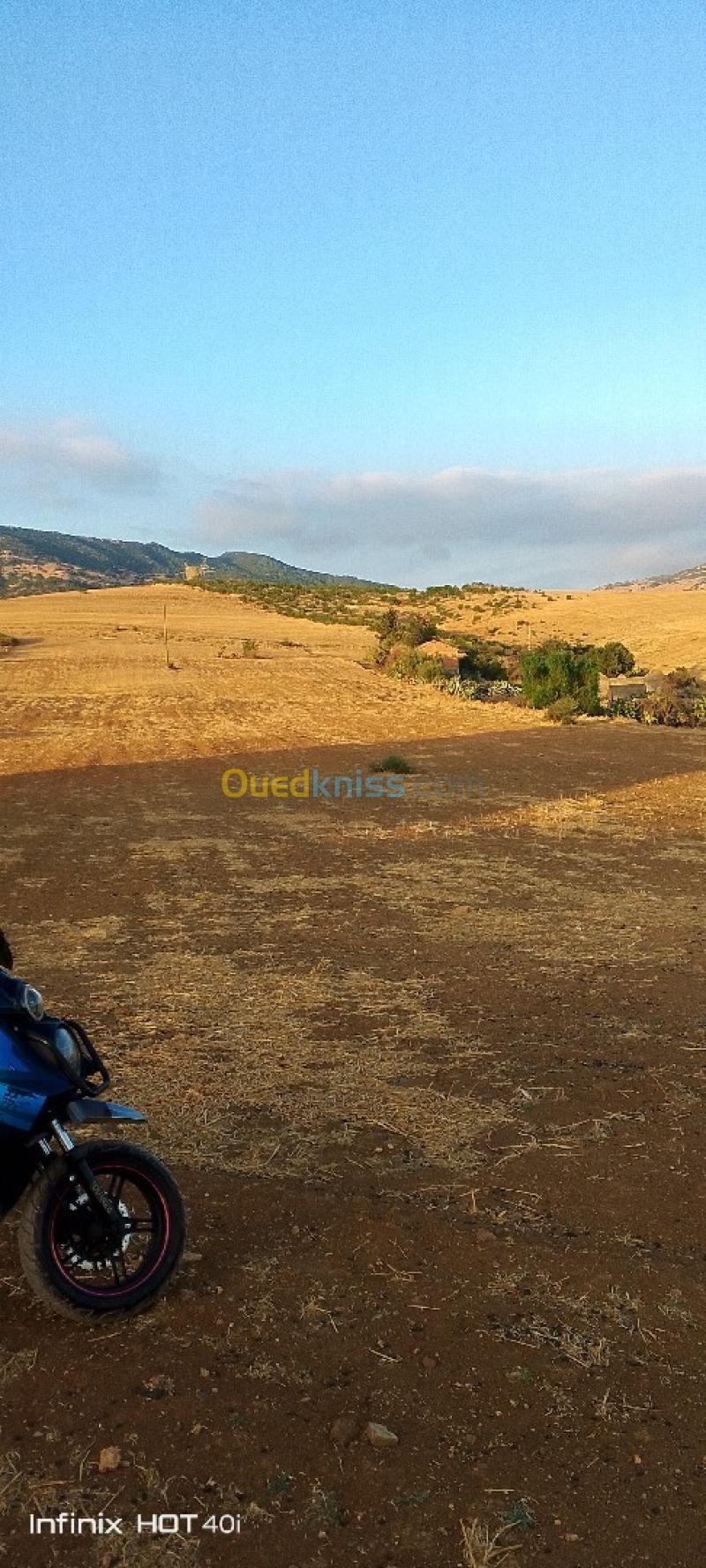Vente Terrain Aïn Defla Ain soltane