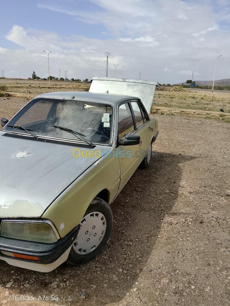 Peugeot 505 1988 505 22