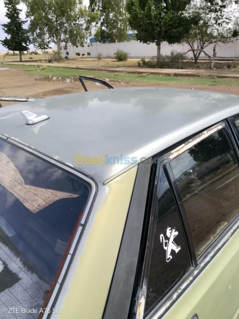 Peugeot 505 1988 505 13