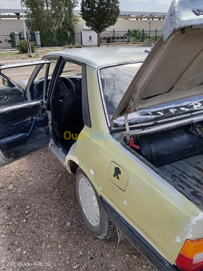 Peugeot 505 1988 505 17