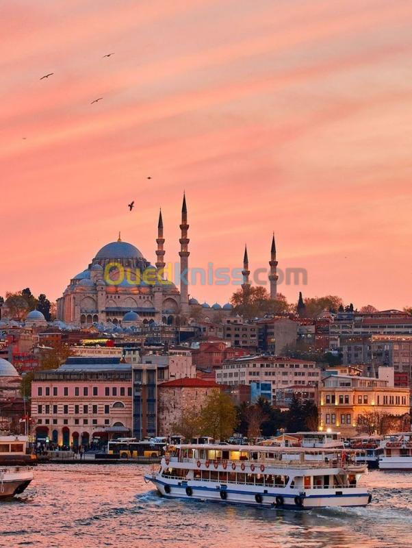  Voyage organisé à ISTANBUL 