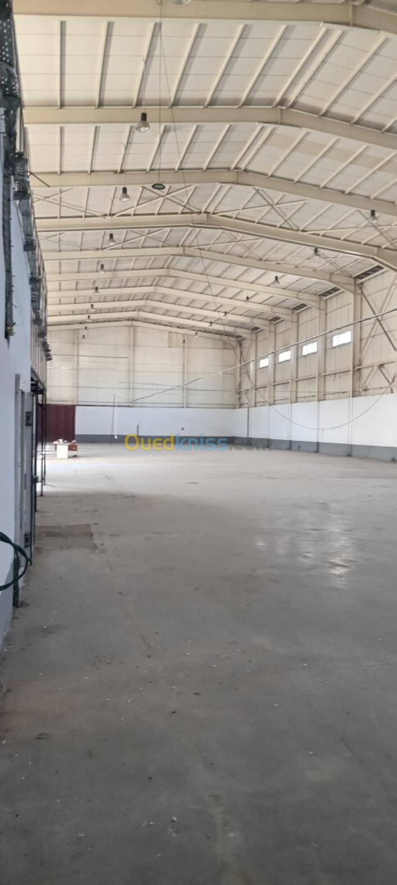 Location Hangar - Usine Alger Dar el beida 2