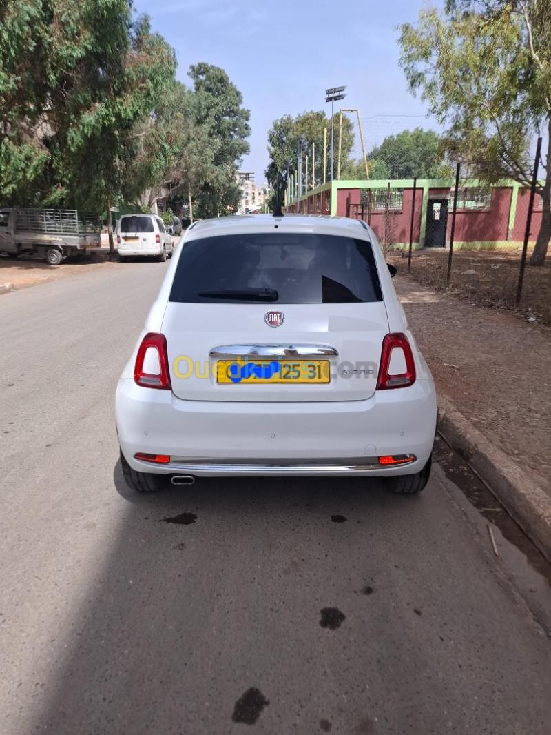Fiat 500 2025 