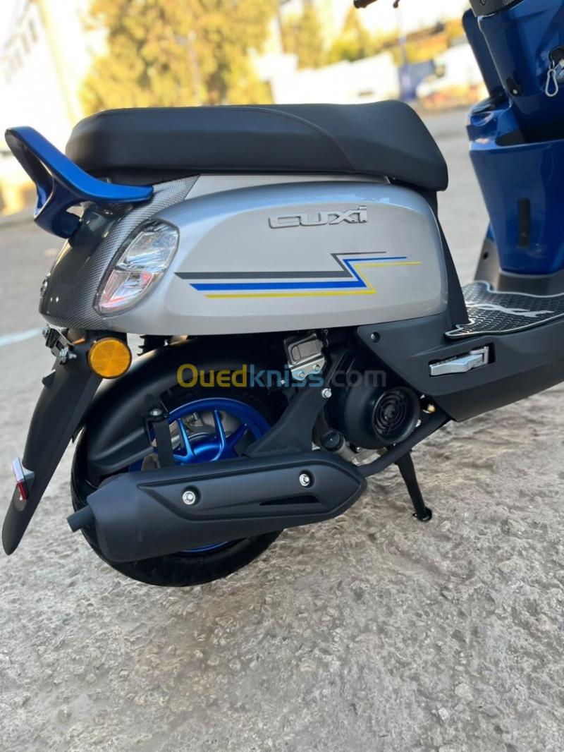 VMS coxi 1 2026 5