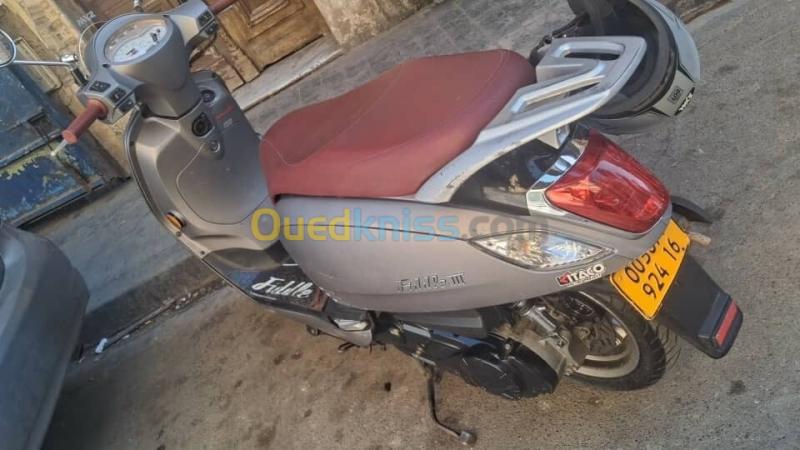 Sym Fiddle3 2024 4