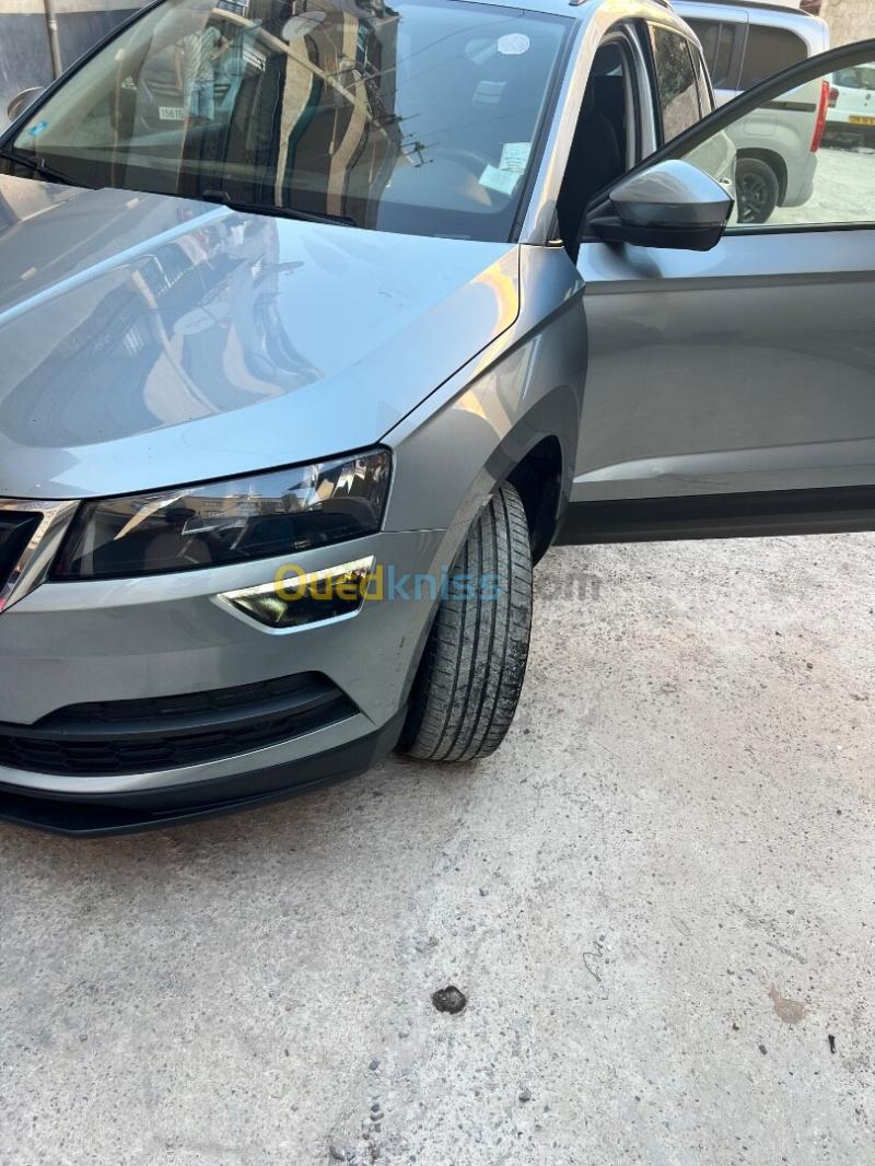 Skoda Karoq 2022  12