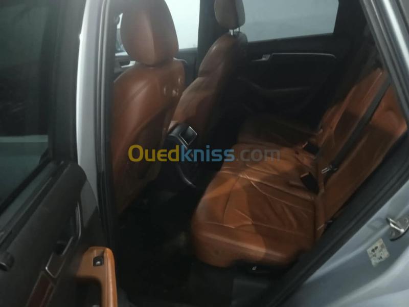 Audi Q5 2012 Off Road 2