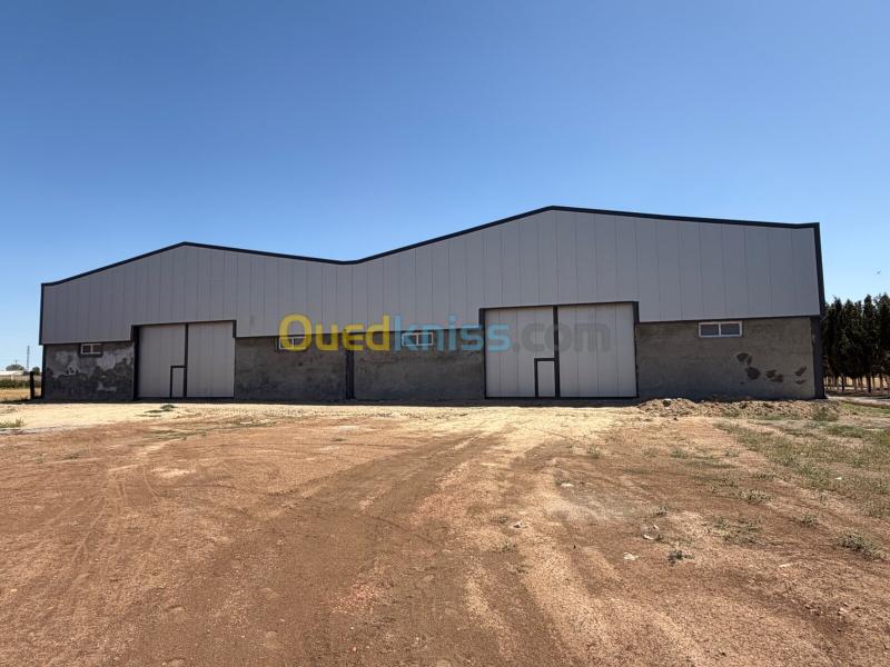 Location Hangar - Usine Sétif Setif 2