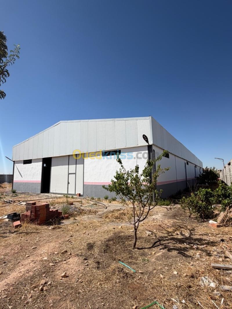 Location Hangar - Usine Sétif Ain arnat 13