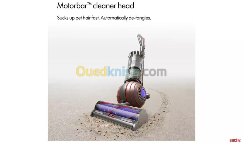 BALAI ASPIRATEUR DYSON BALL ANIMAL UP 32 SILNKL UK 3