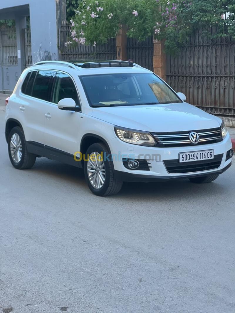 Volkswagen Tiguan 2014 Cup 2
