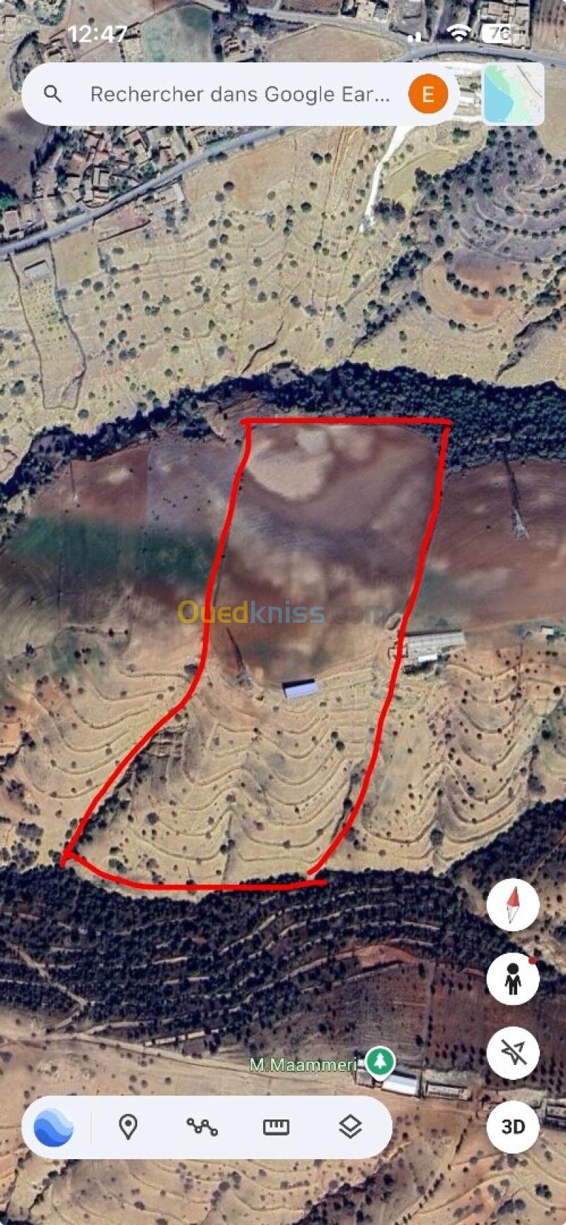 Vente Terrain Agricole Chlef Chettia
