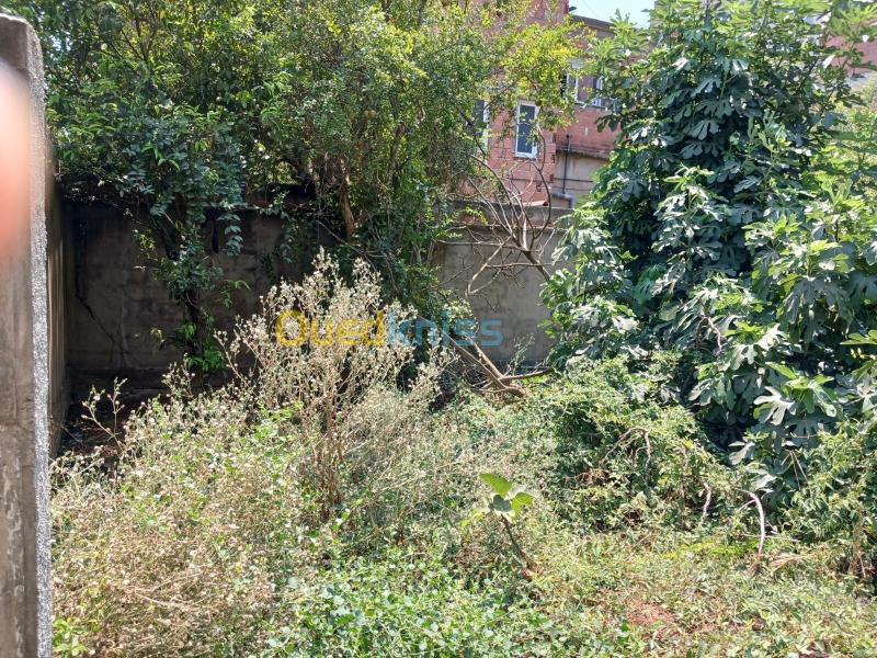 Vente Villa Blida Boufarik 8