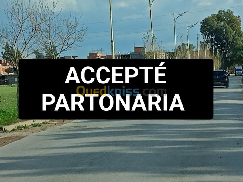 Vente Terrain Alger Draria