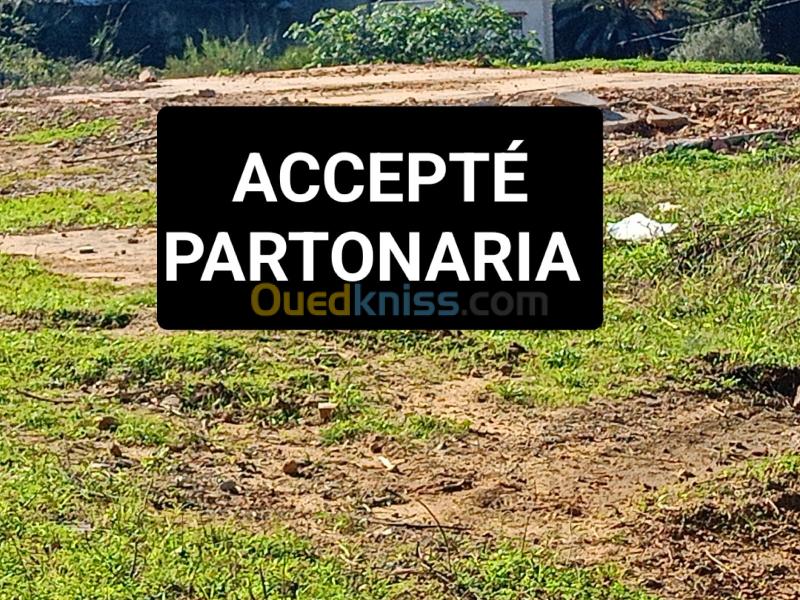 Vente Terrain Alger Draria