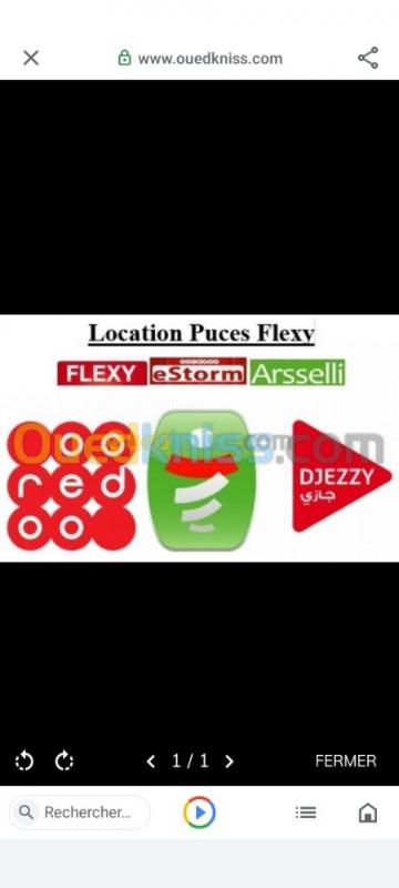  Location 3 puces flexy