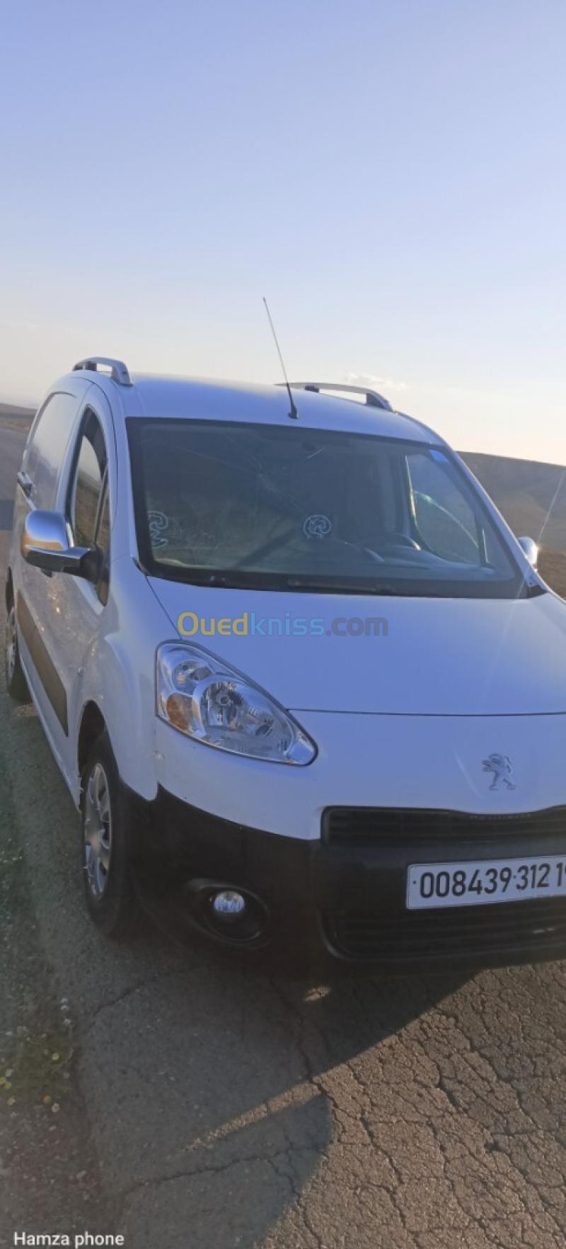 Peugeot B9 2012  2