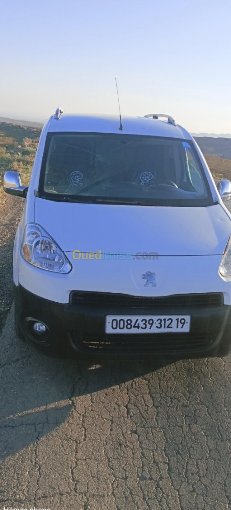 Peugeot B9 2012  3