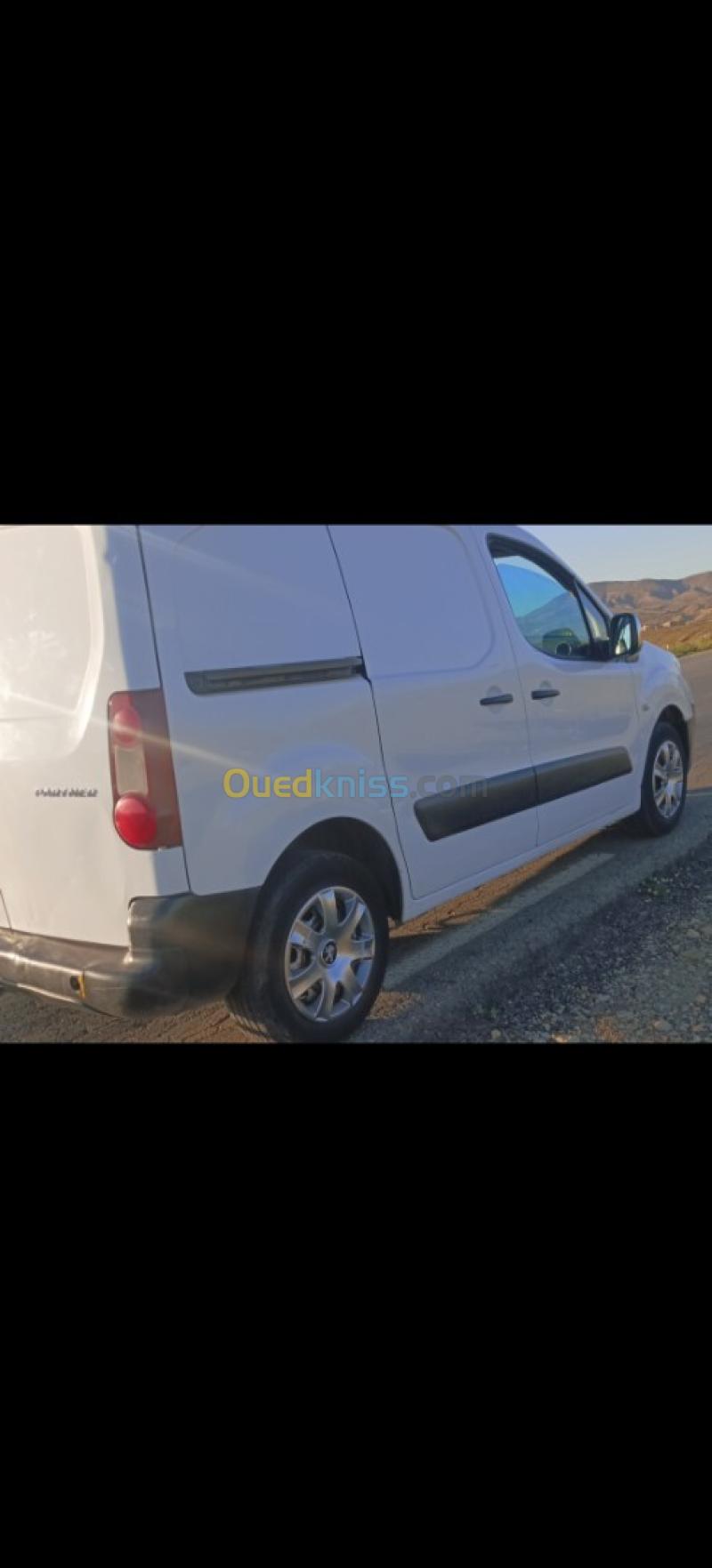 Peugeot B9 2012  8