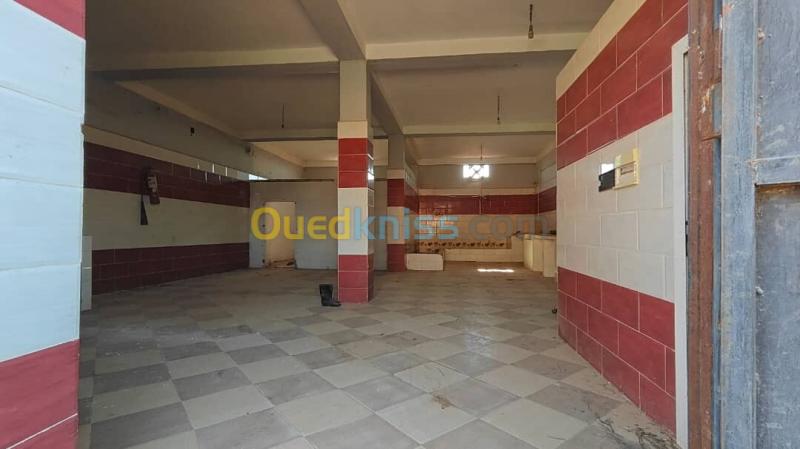 Vente Terrain Aïn Defla Rouina 10