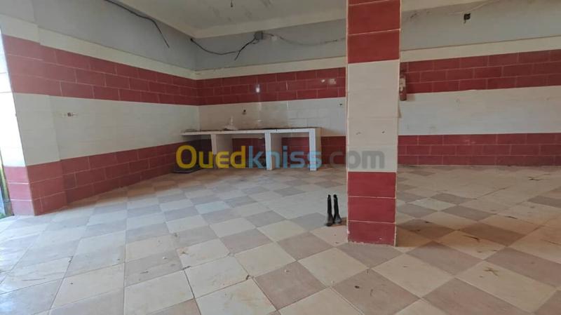 Vente Terrain Aïn Defla Rouina 5