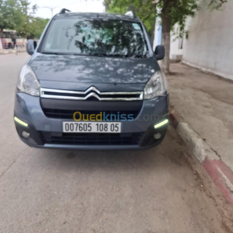 Citroen Berlingo Multispace 2008 