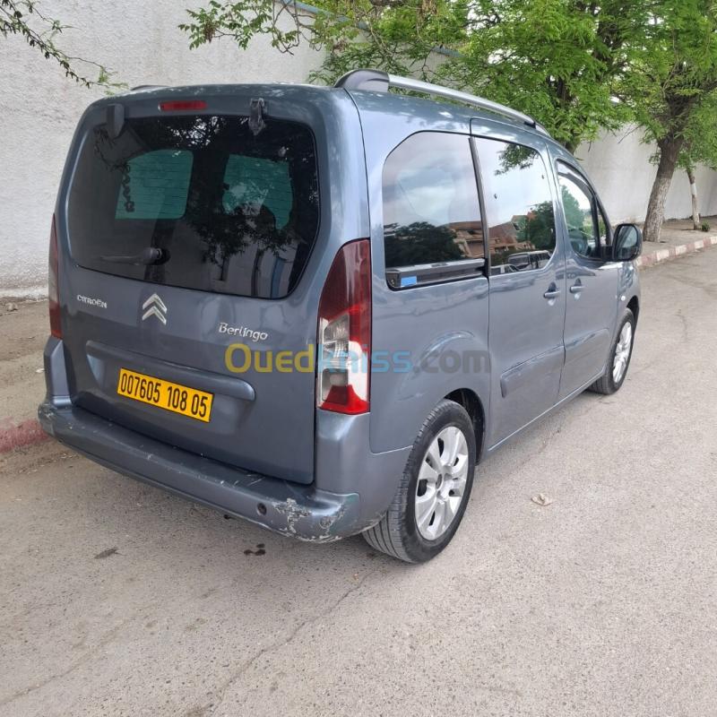 Citroen Berlingo Multispace 2008  9