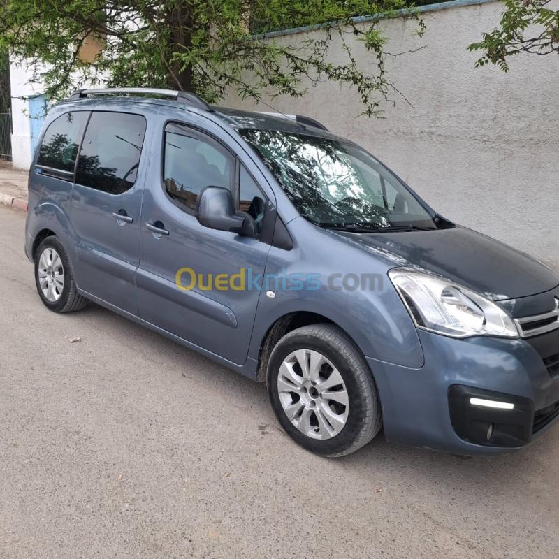 Citroen Berlingo Multispace 2008  3