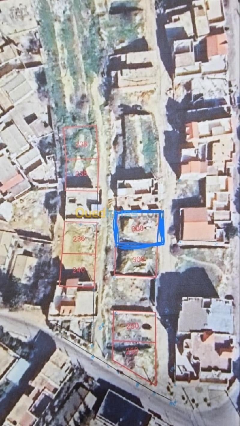 Vente Terrain Chlef Chlef 2