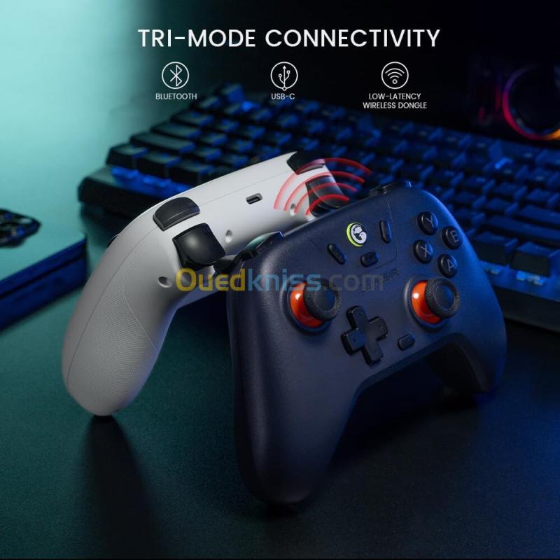 GameSir Nova Lite 6