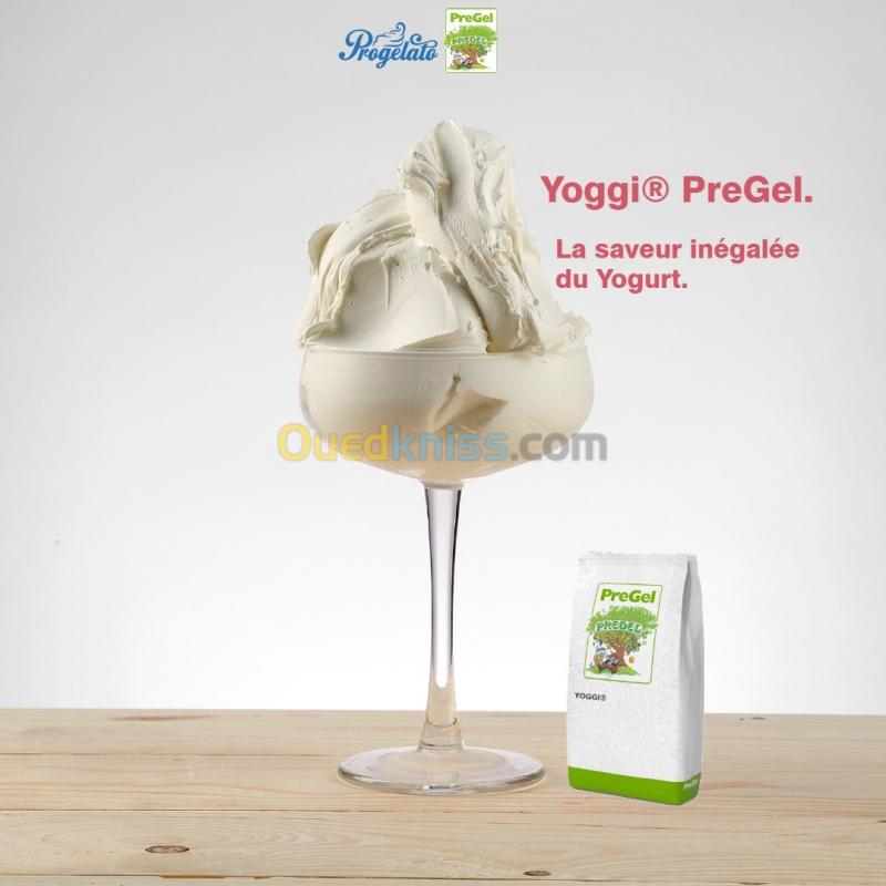  YOGGI PreGel - Yaourt-Glacé- Petit-Suisse  