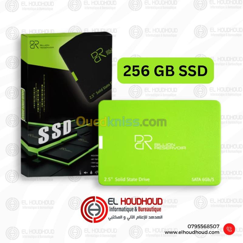 Disque SSD 256GB BR SATA 2.5" 6Gb/s | Neuf & En boîte