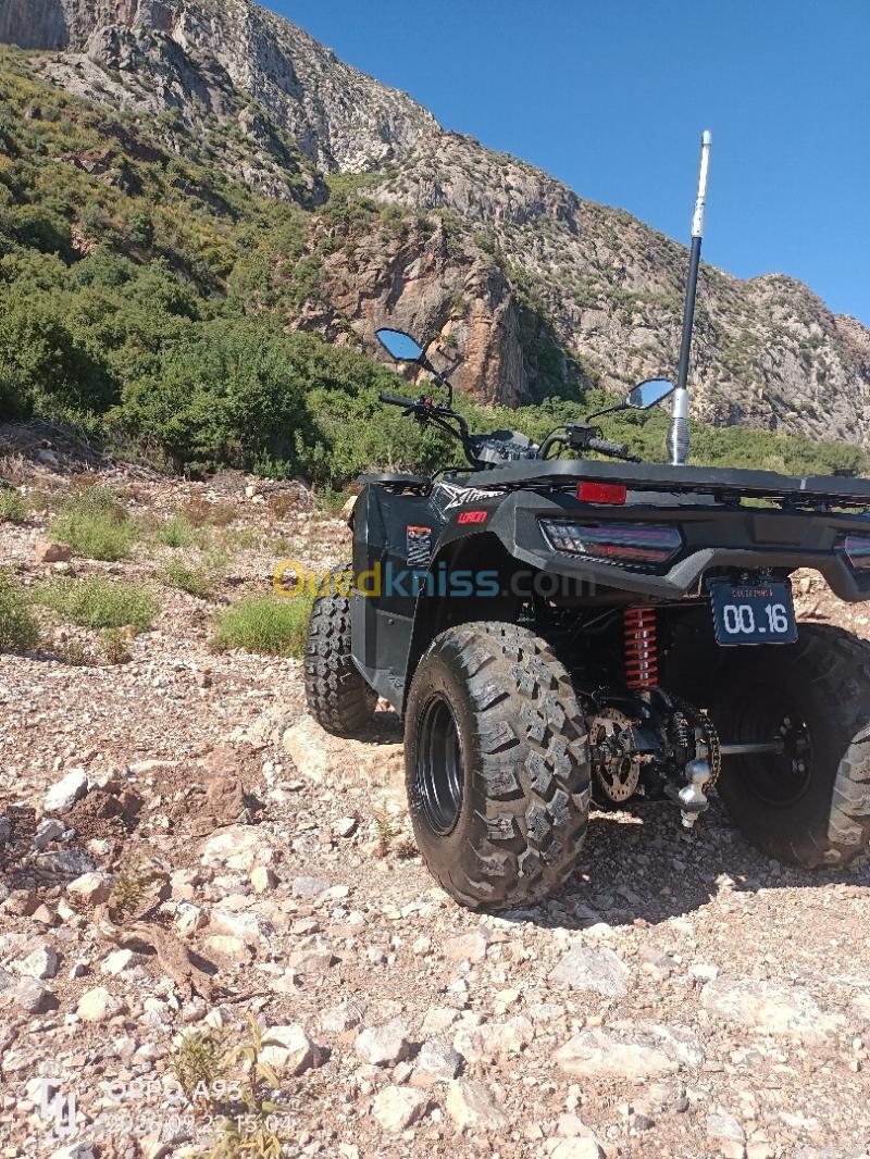 Quads L'ancien 2026 2