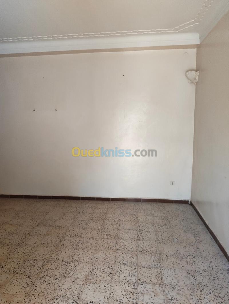 Location Appartement F6 Chlef Chlef 11