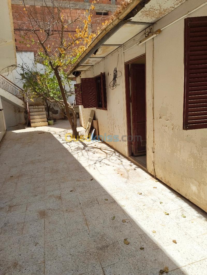 Location Appartement F6 Chlef Chlef 8