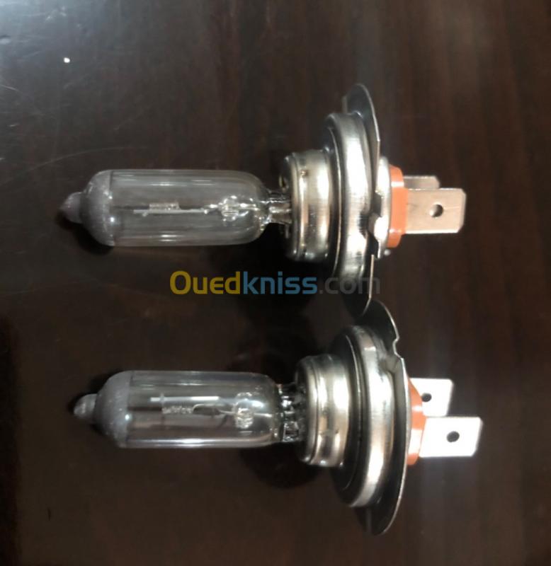 Lampe ampoule Philips H7 - Sétif Algérie