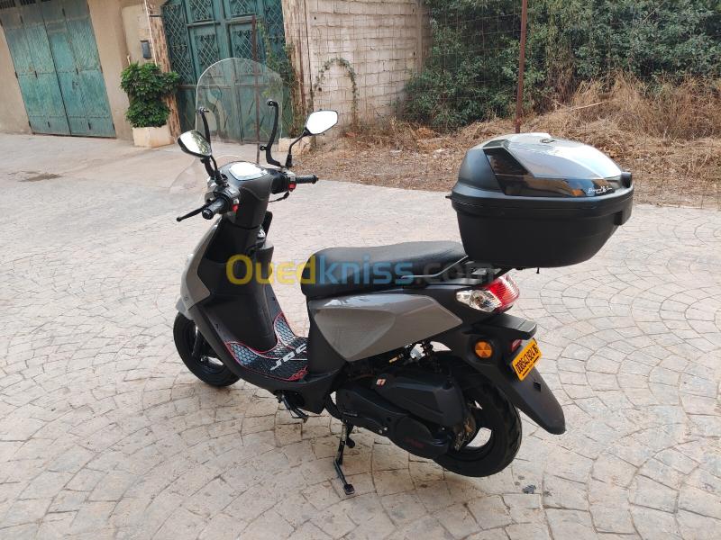 Vms Joci 2024