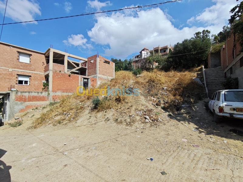 Vente Terrain Blida Larbaa 2