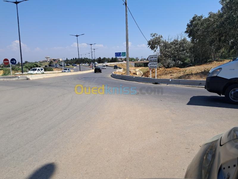 Vente Terrain Alger El achour 5