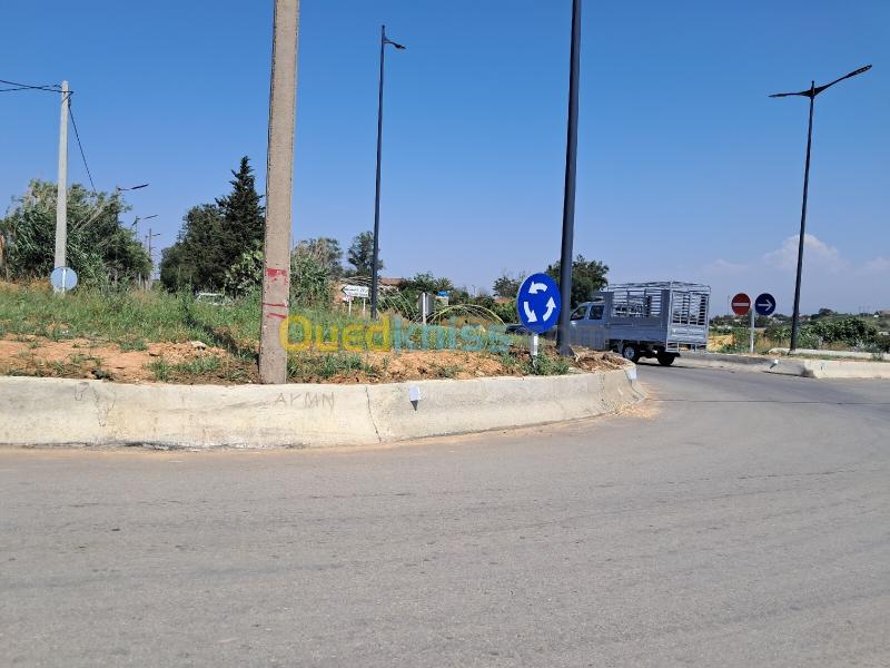 Vente Terrain Alger El achour 4